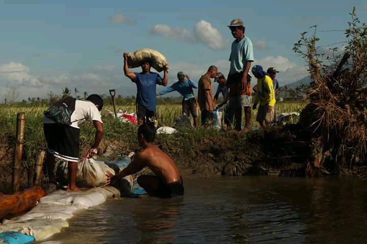Farmers in typhoon-hit Bicol appeal for food, cash aid, and production ...