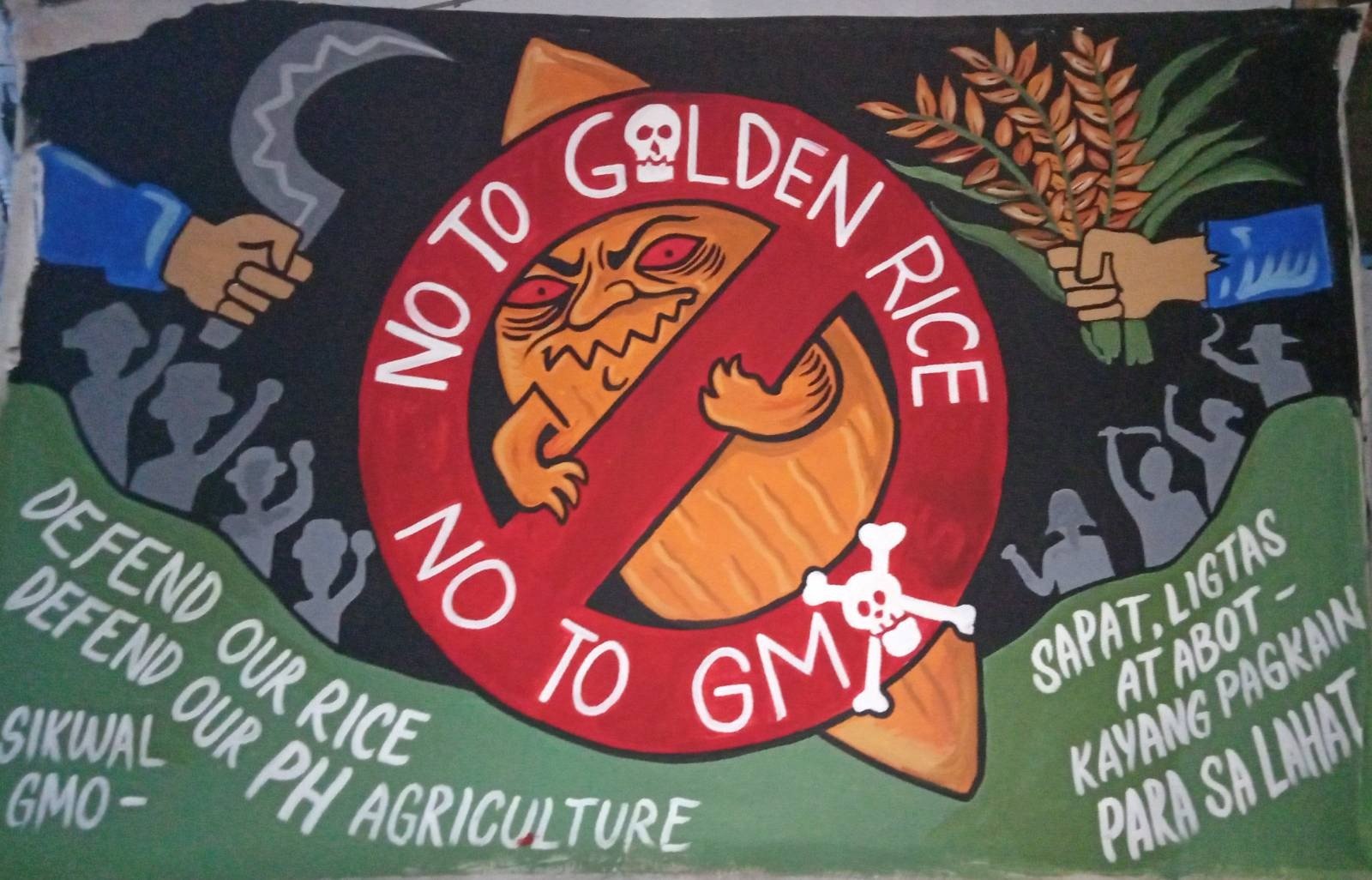 Stop Golden Rice Network #StopGoldenRice – updates from the peasant movement of the Philippines